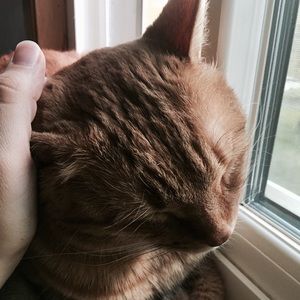 Meet your Posher, Ellie